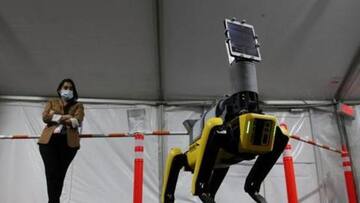How Boston Dynamics' robot-dog is helping COVID-19 patients