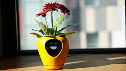 This device can tell how your plant is feeling