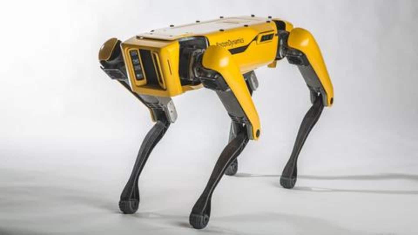 Engineers are making robo-dogs more realistic: Here's how