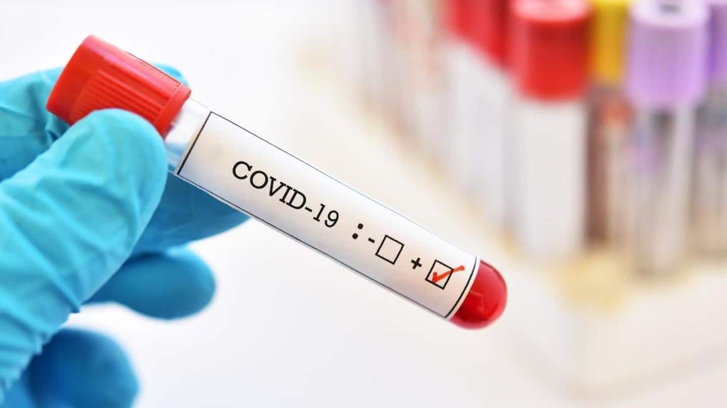 18 crore Indians may already be protected against COVID-19: Thyrocare
