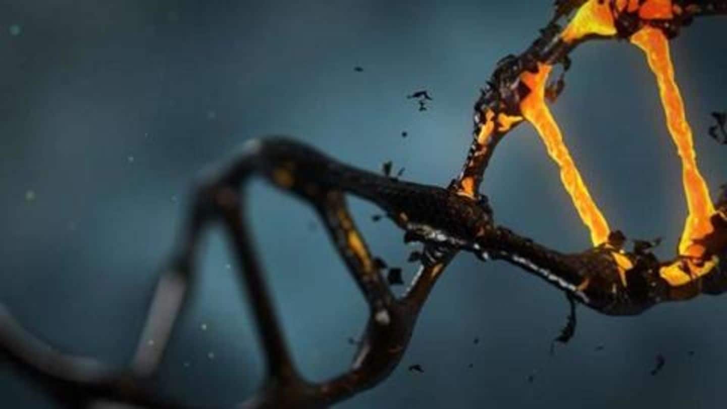 When Harvard scientist suggested DNA dating (and eugenics!) When Harvard scientist suggested DNA dating (and eugenics!)