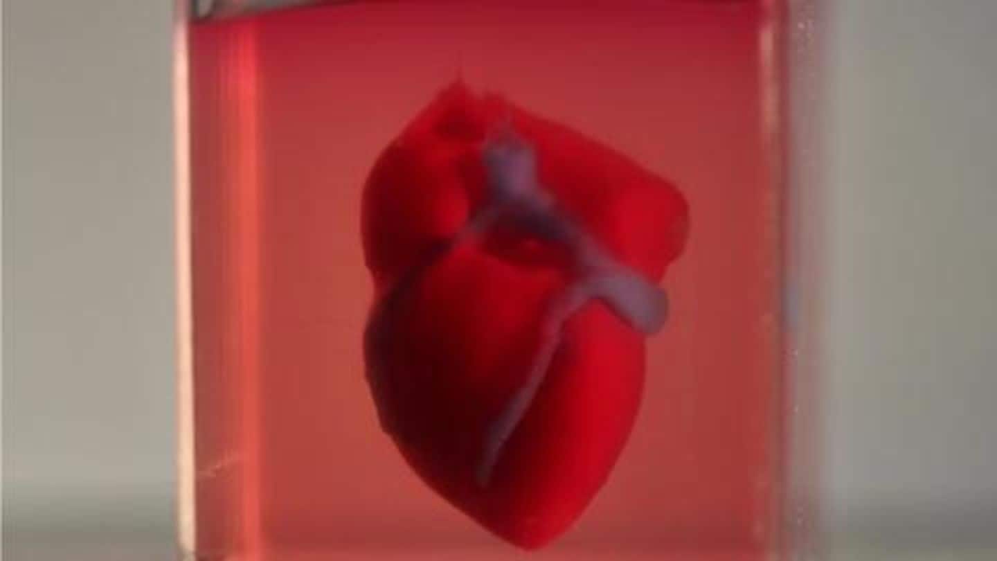 #Breakthrough: Scientists printed first-ever 3D heart using actual human tissue