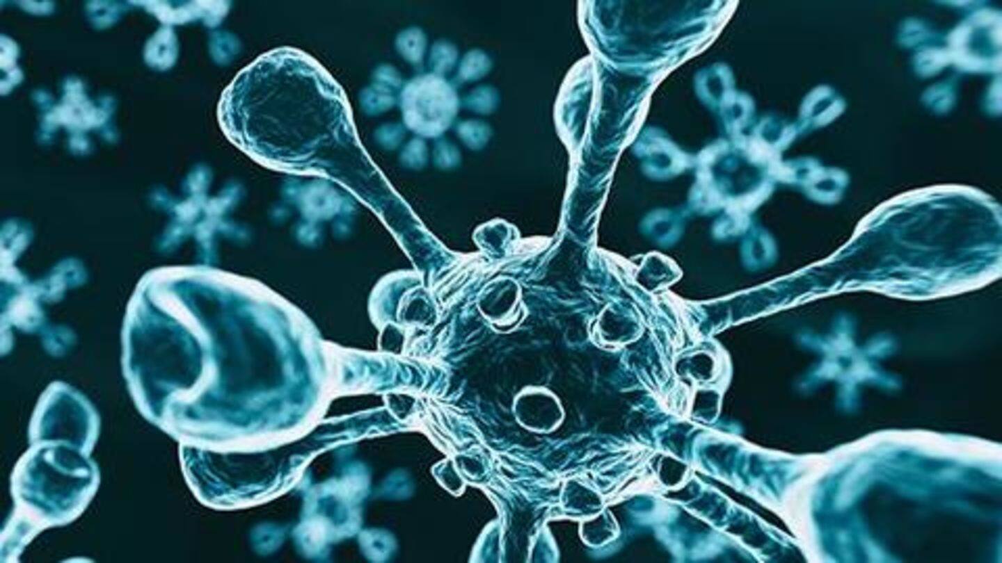 This primes immune system to fight COVID-19 infection This primes immune system to fight COVID-19 infection
