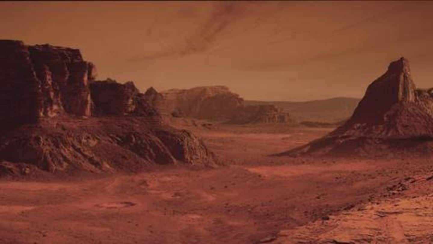 Life on Mars? This professor claims to have photographic evidence