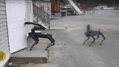 Boston Dynamics' robo-dog joined a police bomb squad