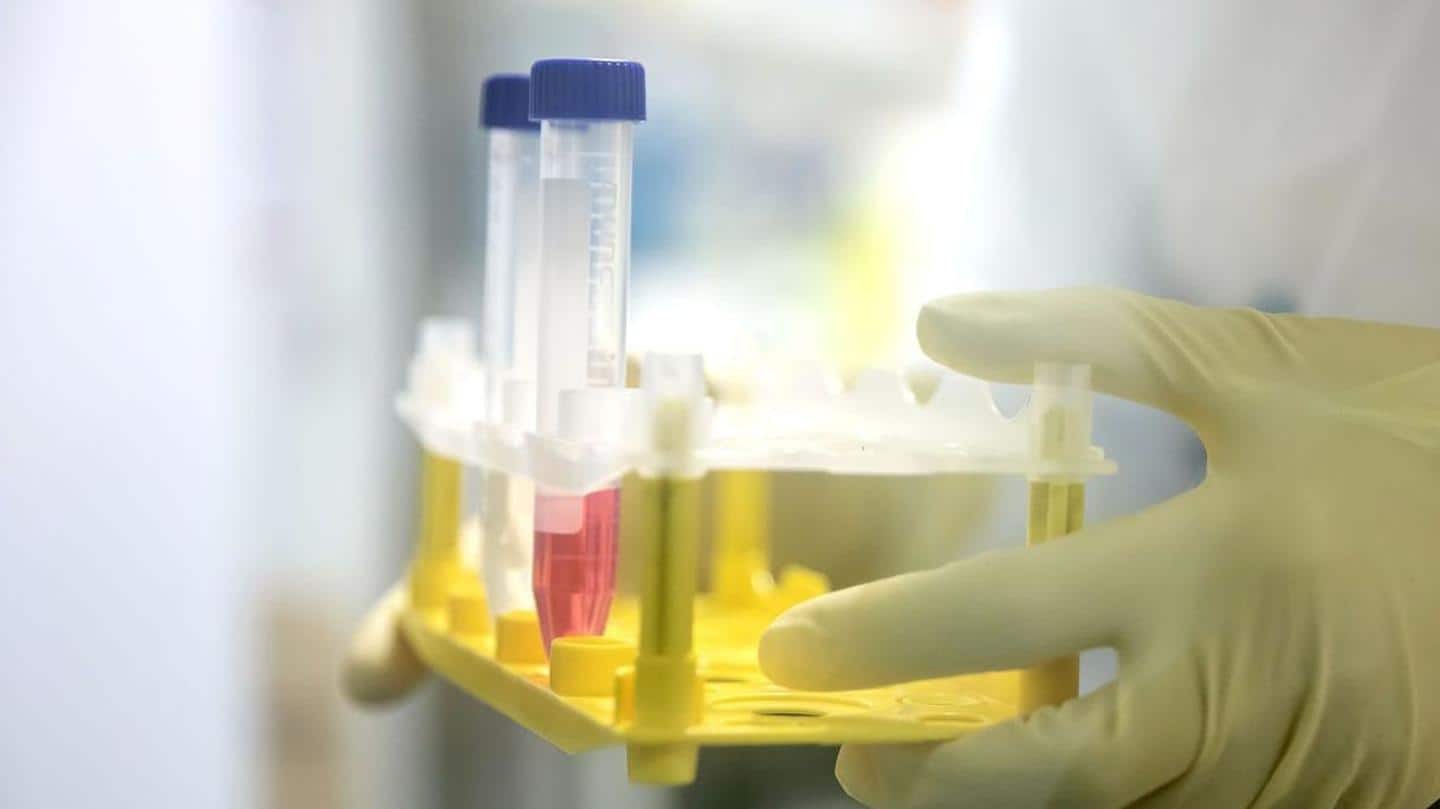 After that, Phase 3 trial will be carried out After that, Phase 3 trial will be carried out