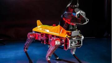 Meet Astro, 'robo-dog' that trains, behaves like a real dog