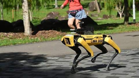 Singapore deploys 'robo-dog' to make sure people observe social distancing