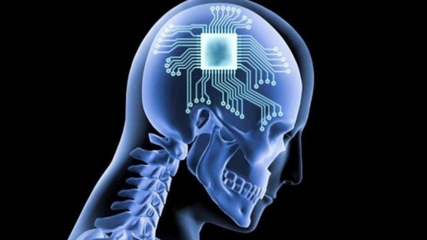 Human tests were scheduled for this year Human tests were scheduled for this year