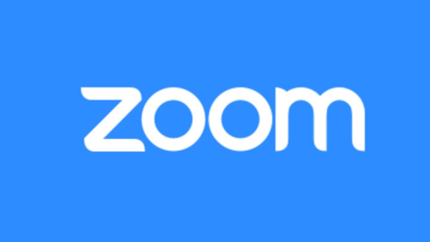 realistic zoom virtual background fall