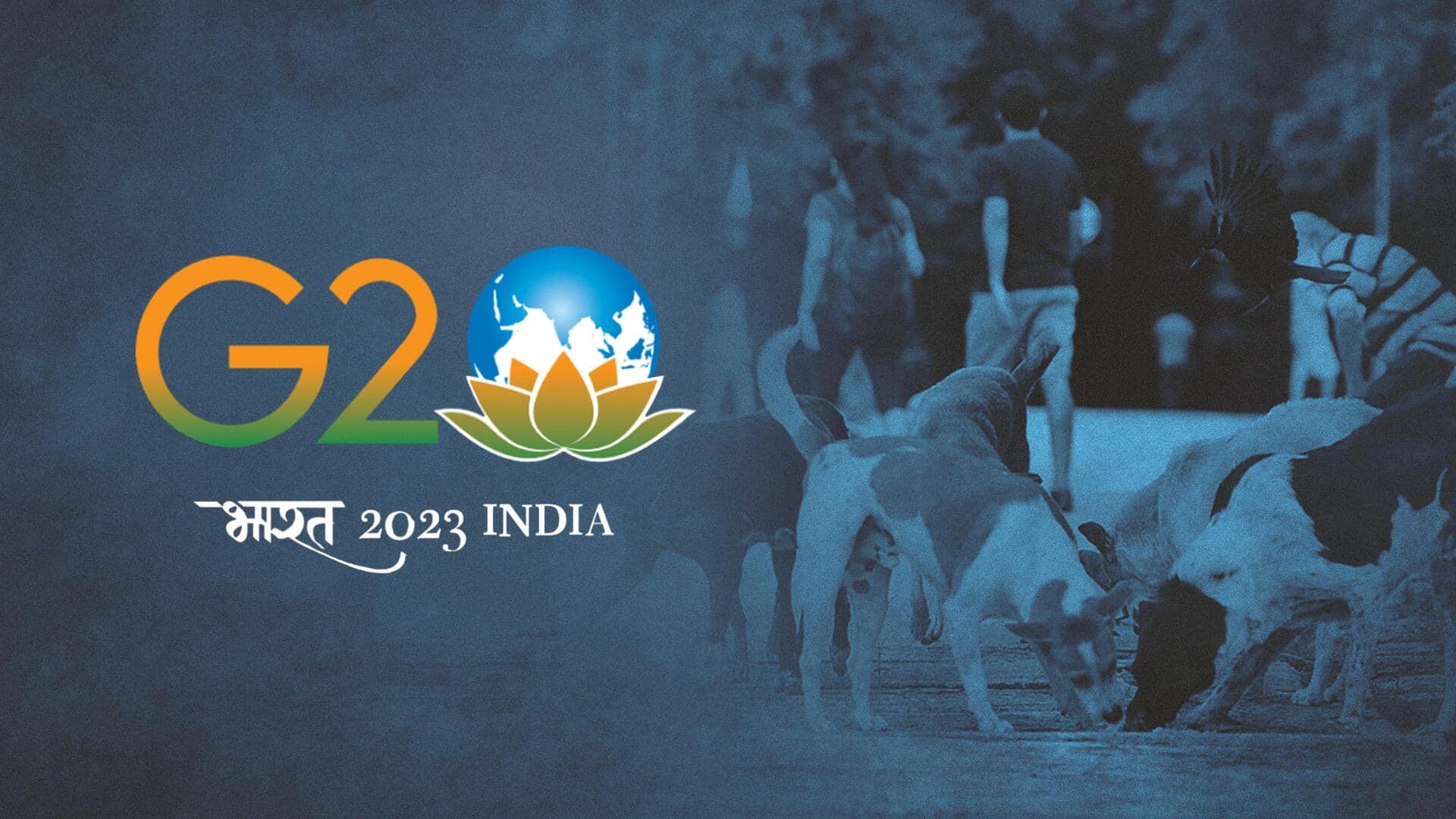 Delhi drops street dog 'removal, sterilization' plan before G20 Summit