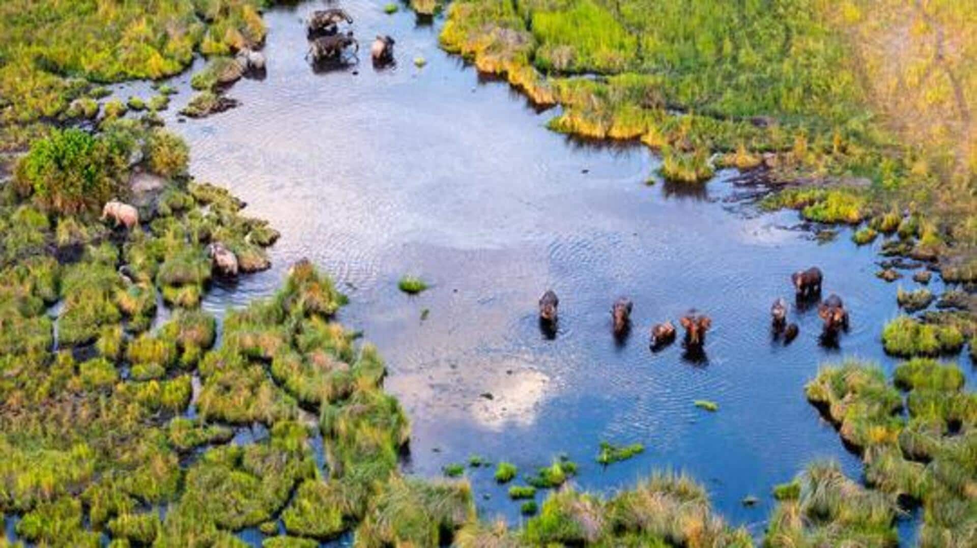How to explore Botswana's Okavango Delta