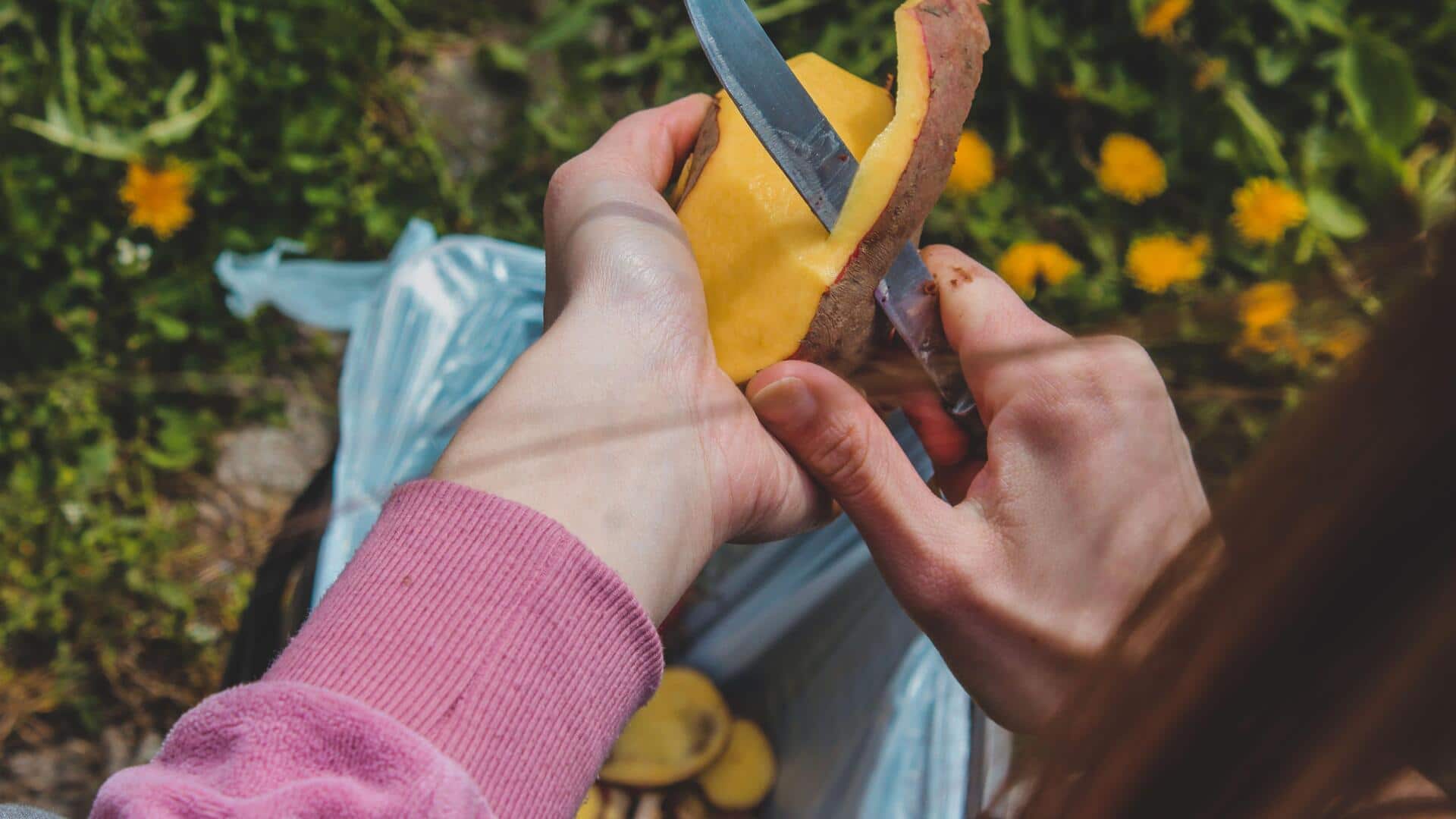 Want a beautiful garden without overspending? Try these tips