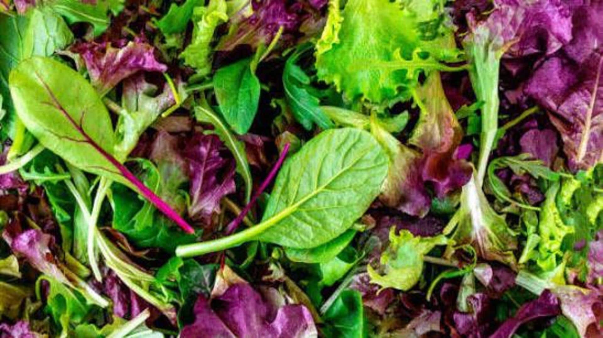 Mesclun: The salad mix your meals need