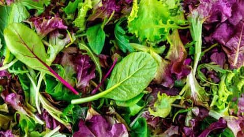 Mesclun: The salad mix your meals need