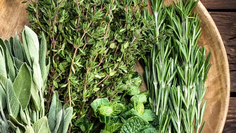 Thyme v/s sage: Which herb is more nutritious?