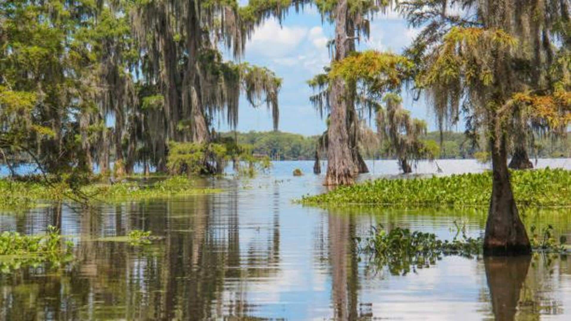 Swampland trekking 101: What to know