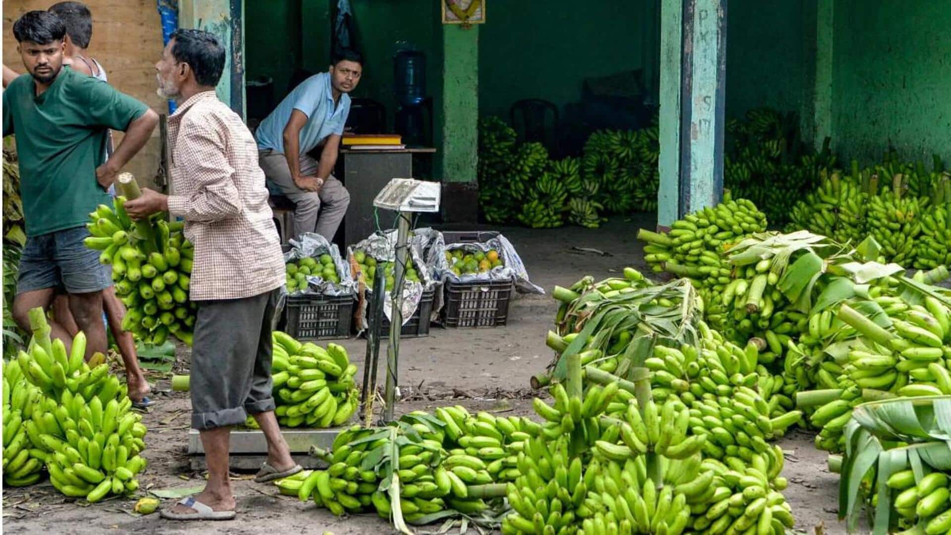 Why Modi government may liberalize FDI in plantation sector