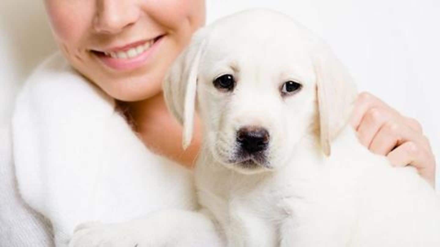 Feeding dogs on the humanitarian ground, says Neha Feeding dogs on the humanitarian ground, says Neha
