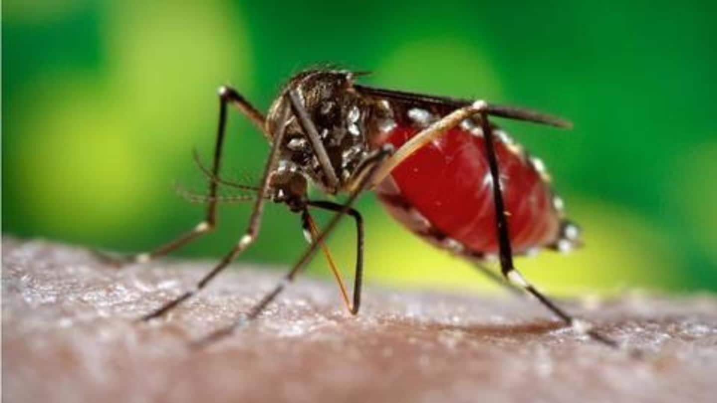 West Nile virus takes life of a 7-year-old in Kozhikode