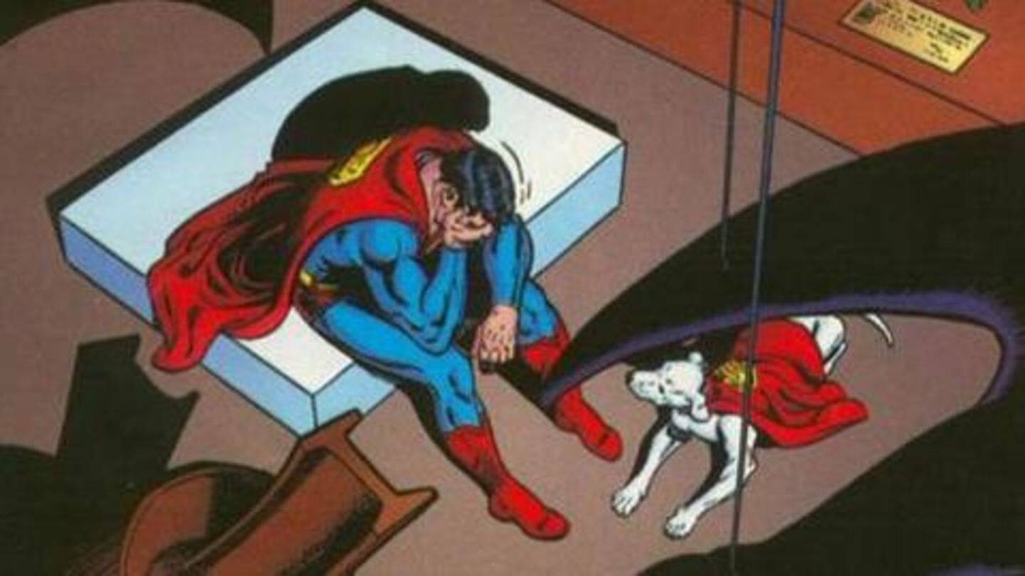 A heart-wrenching story told from a pet's perspective A heart-wrenching story told from a pet's perspective