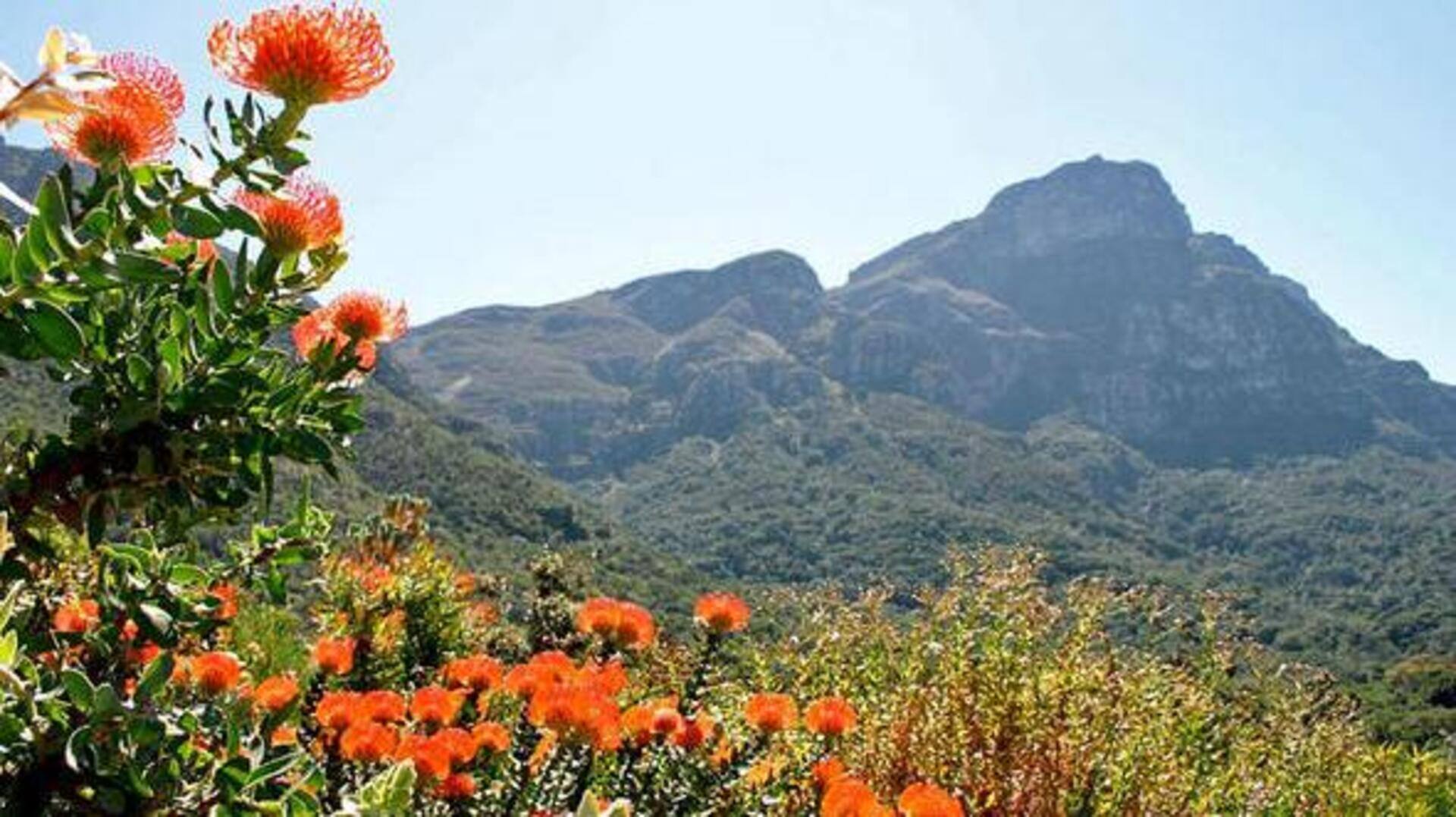 Cycling through the Cape Floral Kingdom, South Africa