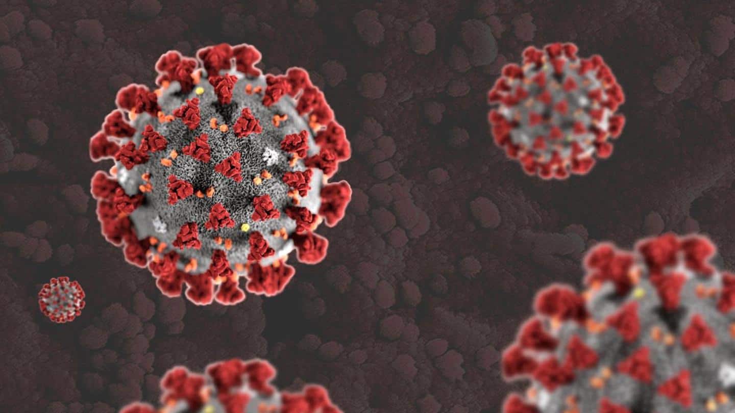 Virus first reported in Wuhan wet market Virus first reported in Wuhan wet market