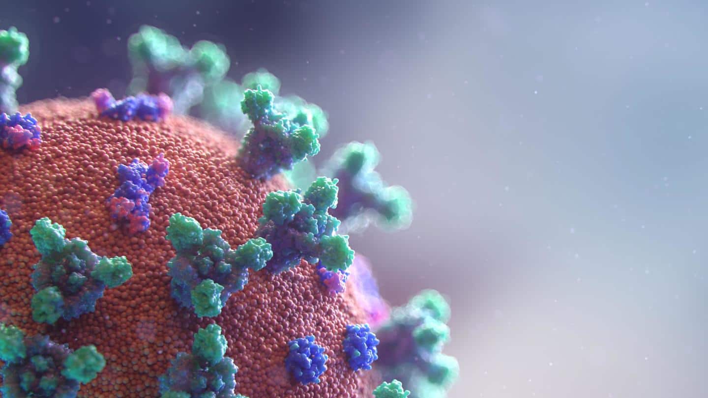What is the mutation? What is the mutation?