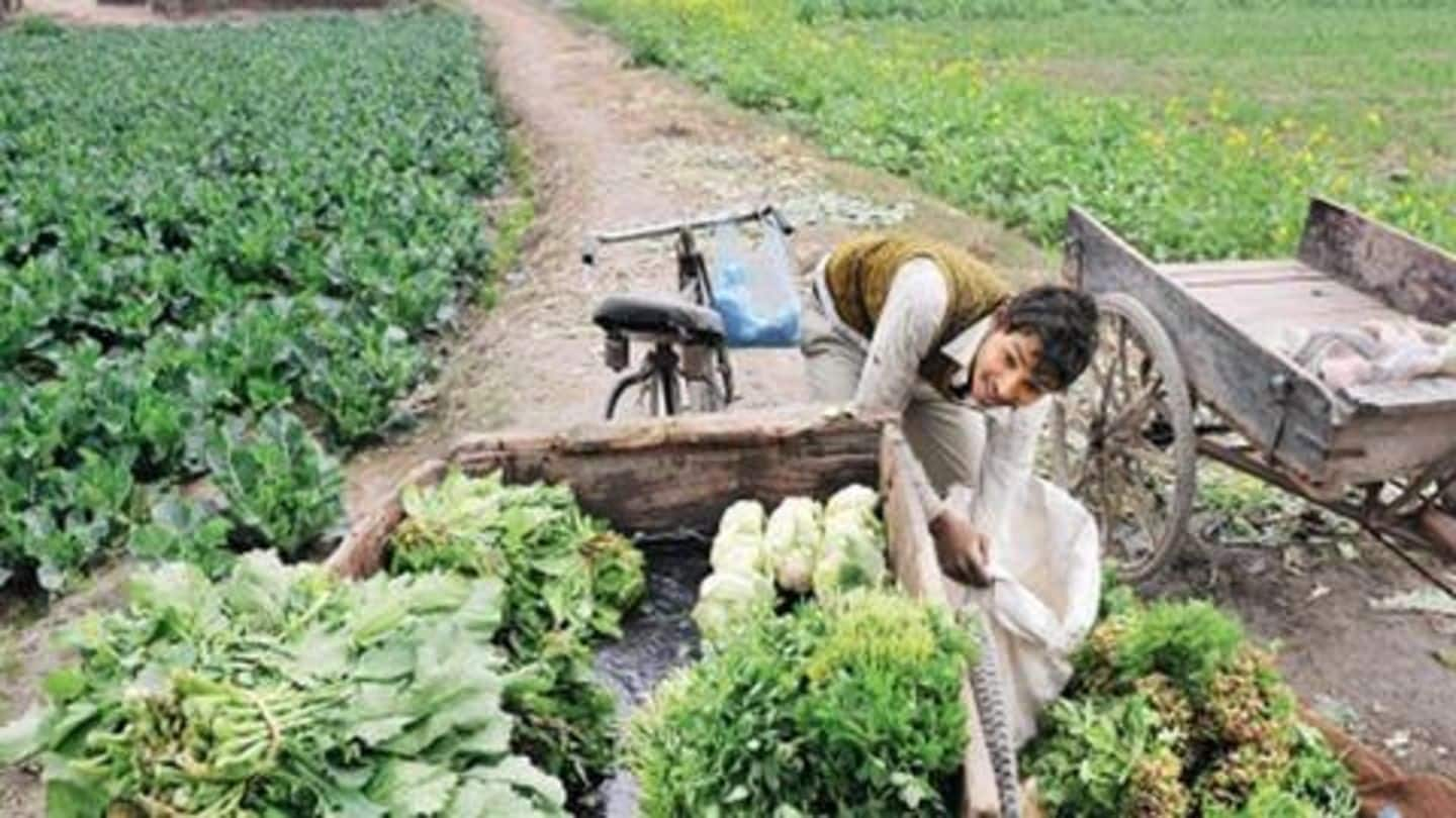 Vegetables in Delhi found to have high lead content: Study