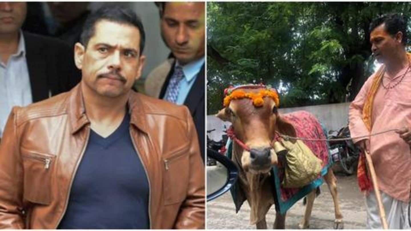 Robert Vadra posts video of cow that 'predicts the future'