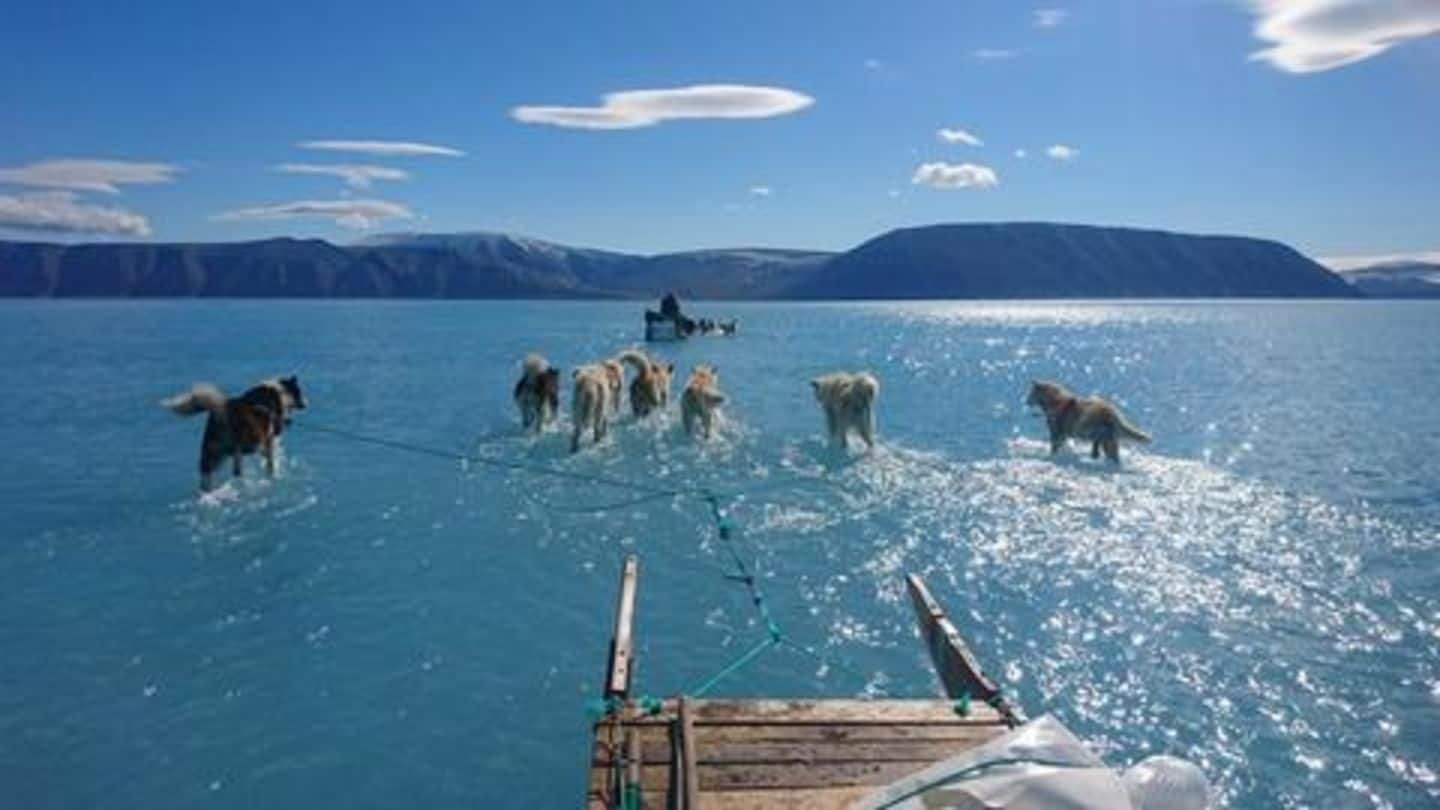 An ice-free Greenland could be our *scary* future, says study