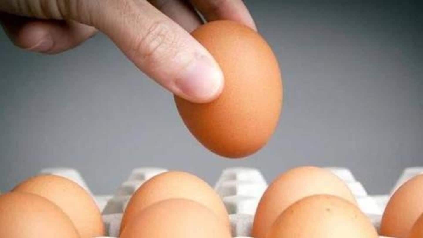UP man dies after eating 41 eggs in bizarre challenge
