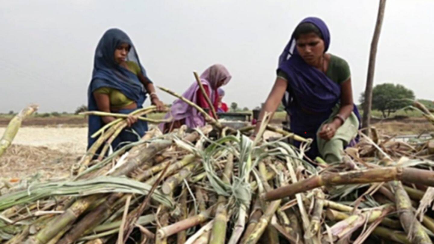 Beed women can't afford losing employment over menstruation; undergo hysterectomy Beed women can't afford losing employment over menstruation; undergo hysterectomy