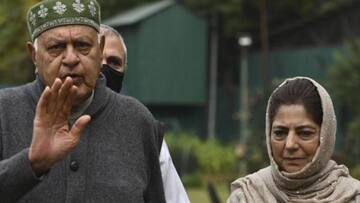 J&K DDC elections: Gupkar Alliance wins big; BJP gains