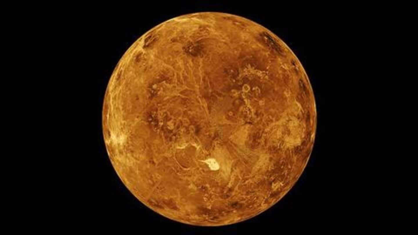New study finds proof that Venus could once support life