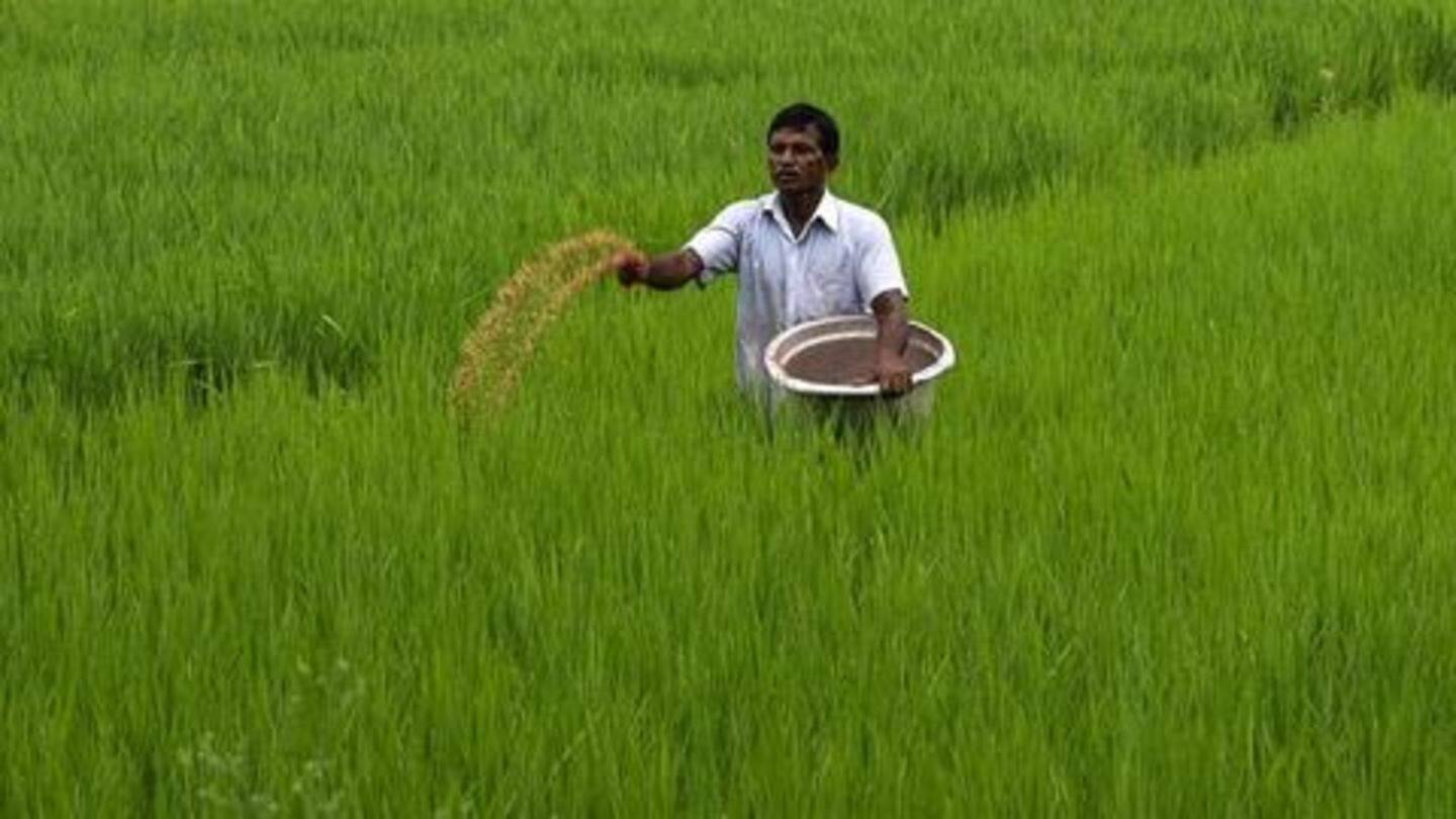 Foodgrain production target of 298.3mn tonnes for current fiscal Foodgrain production target of 298.3mn tonnes for current fiscal
