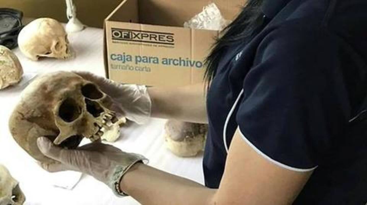 Findings are 'invaluable' in establishing time-since-death Findings are 'invaluable' in establishing time-since-death