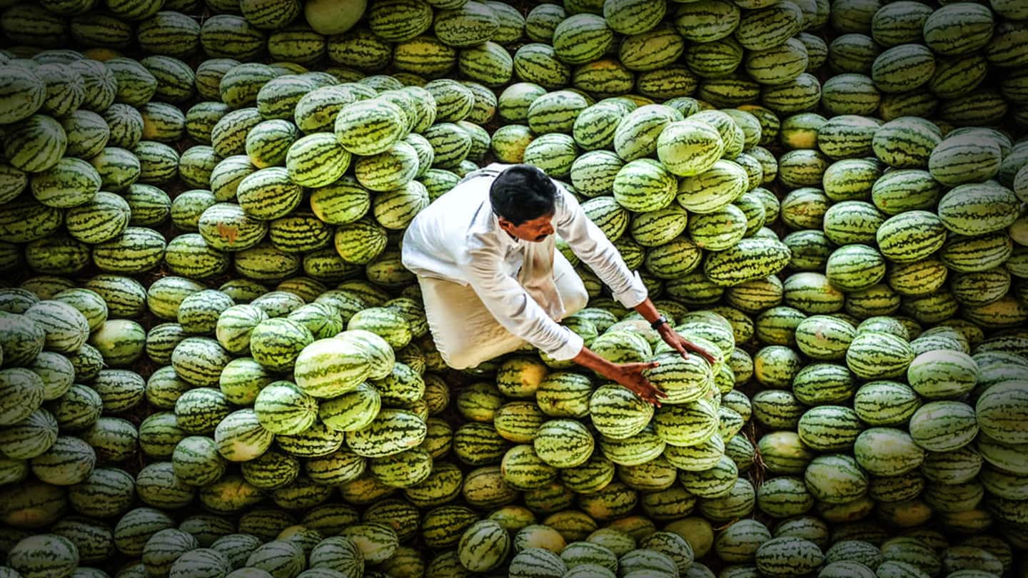 Army buys Jharkhand farmer's watermelon harvest after his generous offer