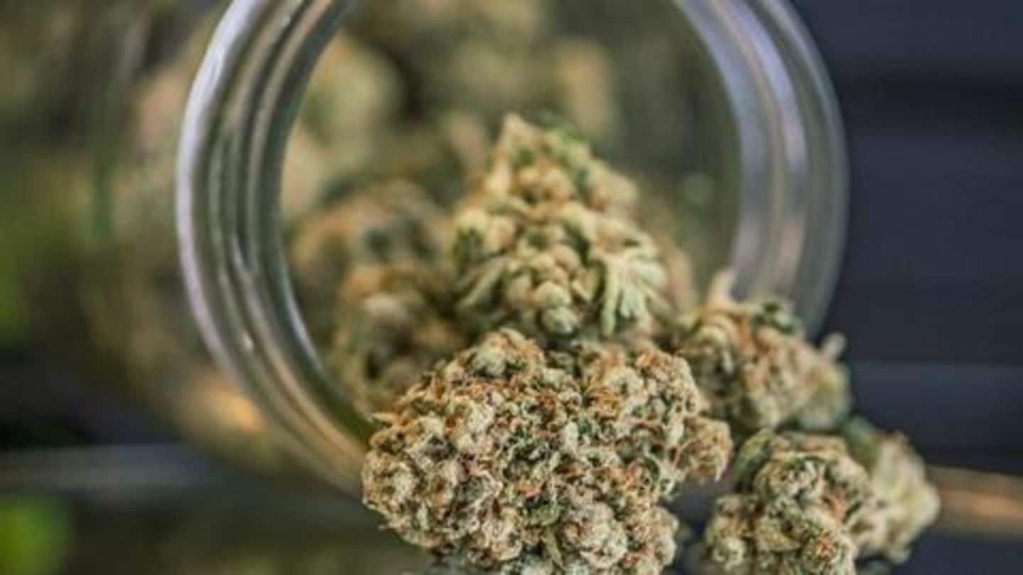 Consuming cannabis can land you in prison for 6 months Consuming cannabis can land you in prison for 6 months