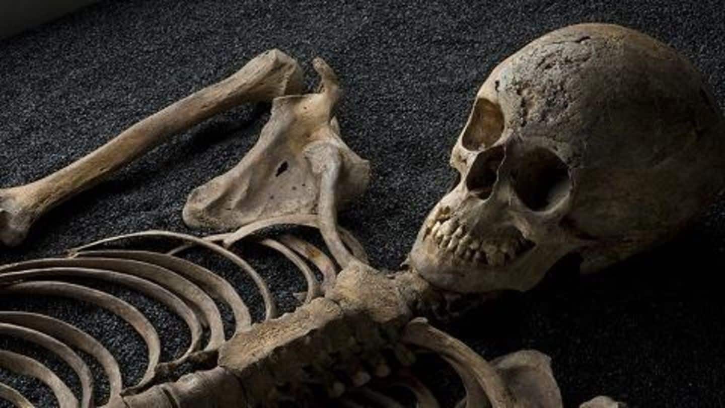 Study finds dead bodies continue to move months after death