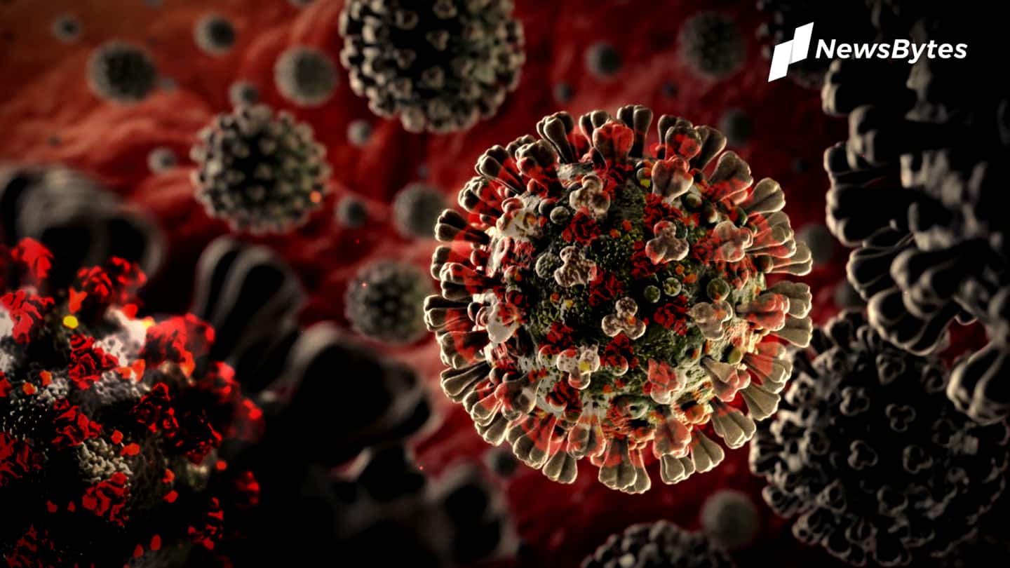 Coronavirus mutated 32 times in HIV+ South Africa woman: Study