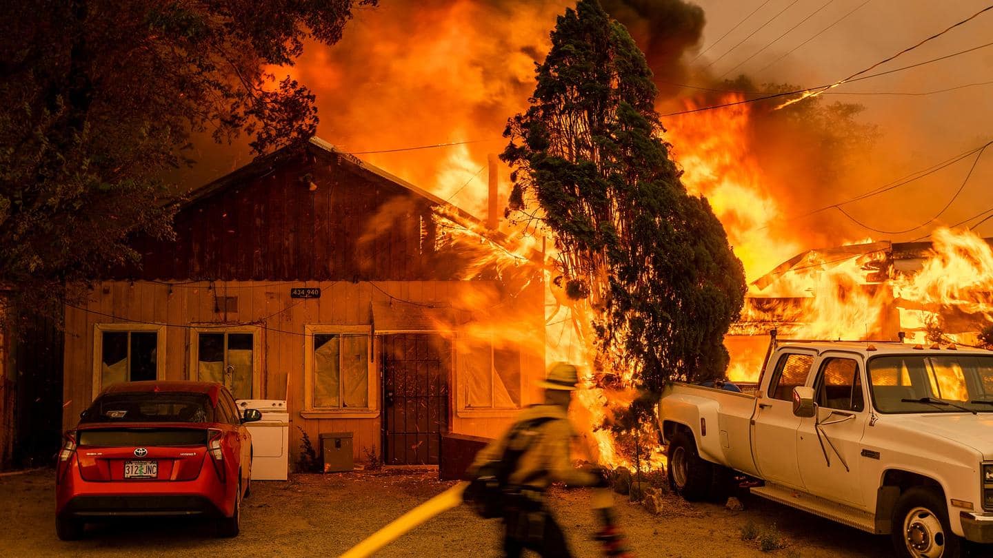 NewsBytesExplainer: Why do US and Canada see wildfires every year?