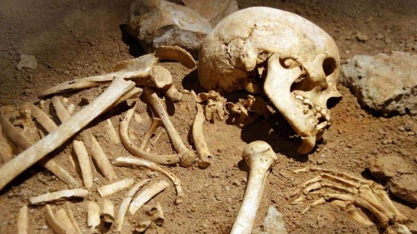 Human skeleton found in Varanasi college used as quarantine center