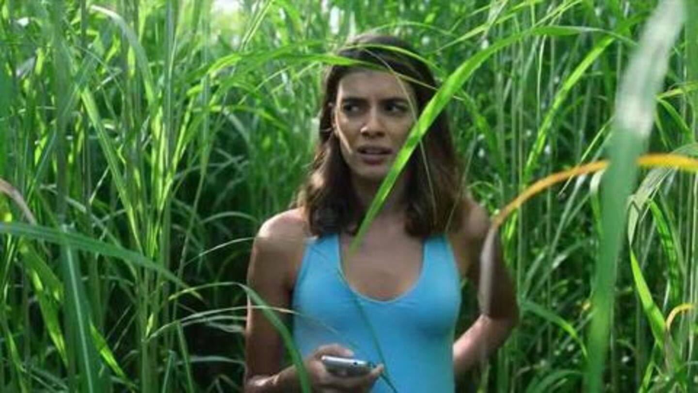 'In The Tall Grass': A horror for Halloween's sake 'In The Tall Grass': A horror for Halloween's sake