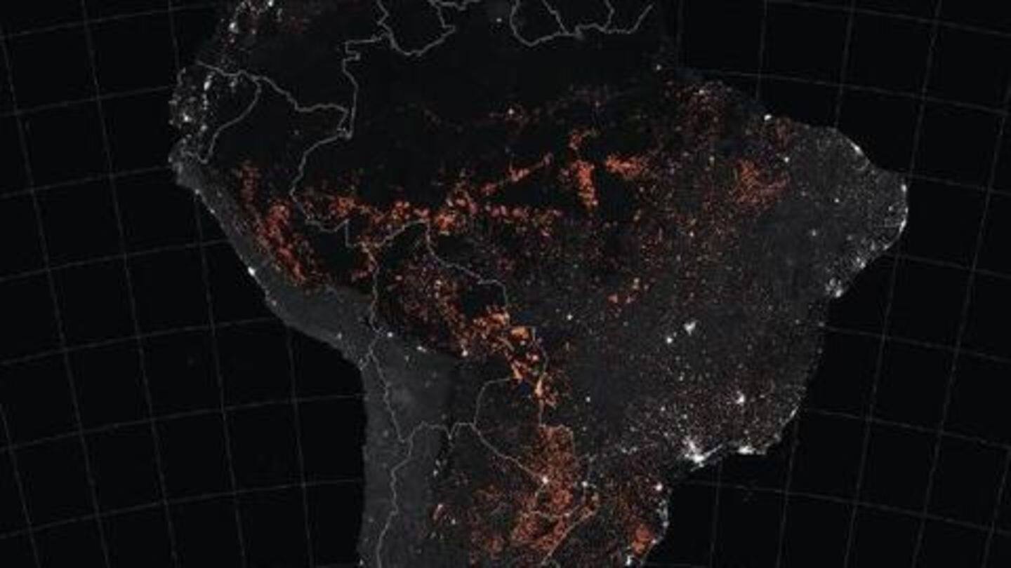 Official data reports 78,383 fires in Amazon this year Official data reports 78,383 fires in Amazon this year