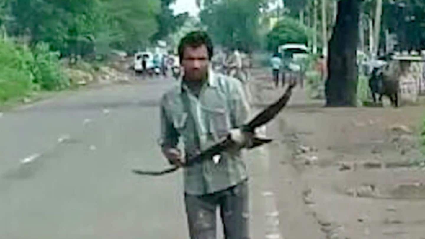 Crows attack this Madhya Pradesh man every day: Here's why
