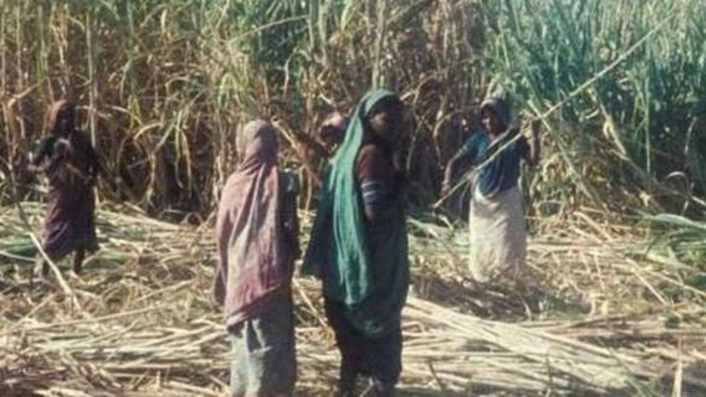 36% of women in Beed have had wombs removed 36% of women in Beed have had wombs removed