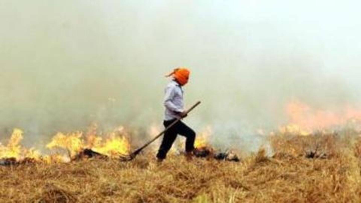 SC slams Punjab, Haryana for not checking stubble burning SC slams Punjab, Haryana for not checking stubble burning