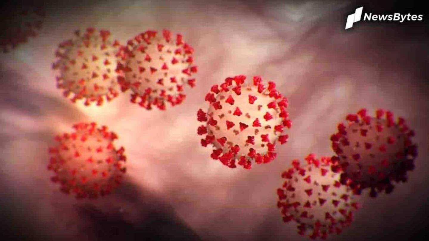 Mutated strain detected in some countries; India safe so far Mutated strain detected in some countries; India safe so far