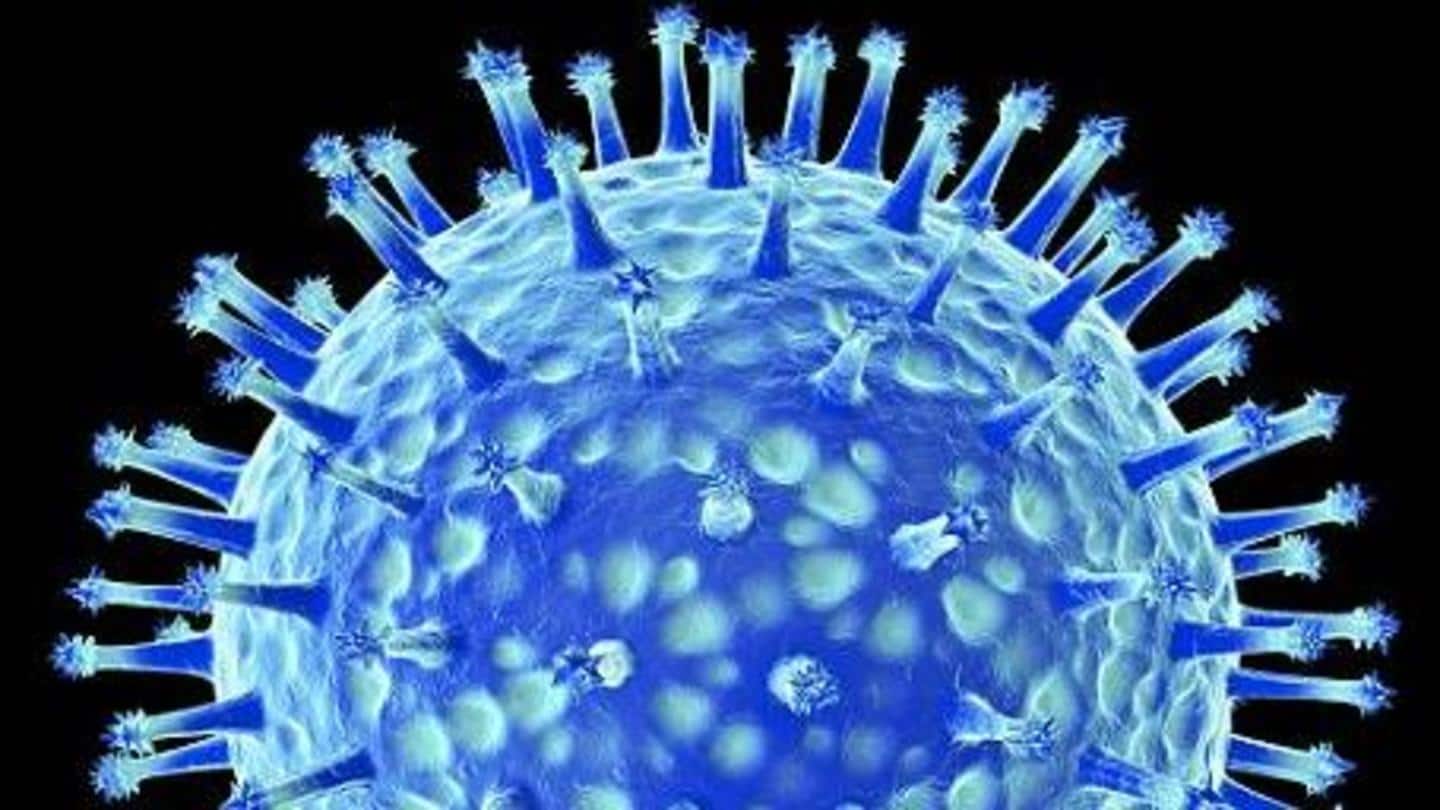 What is bird flu? What is bird flu?